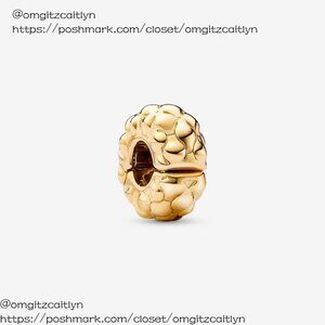 Pandora Studded Clip Charm